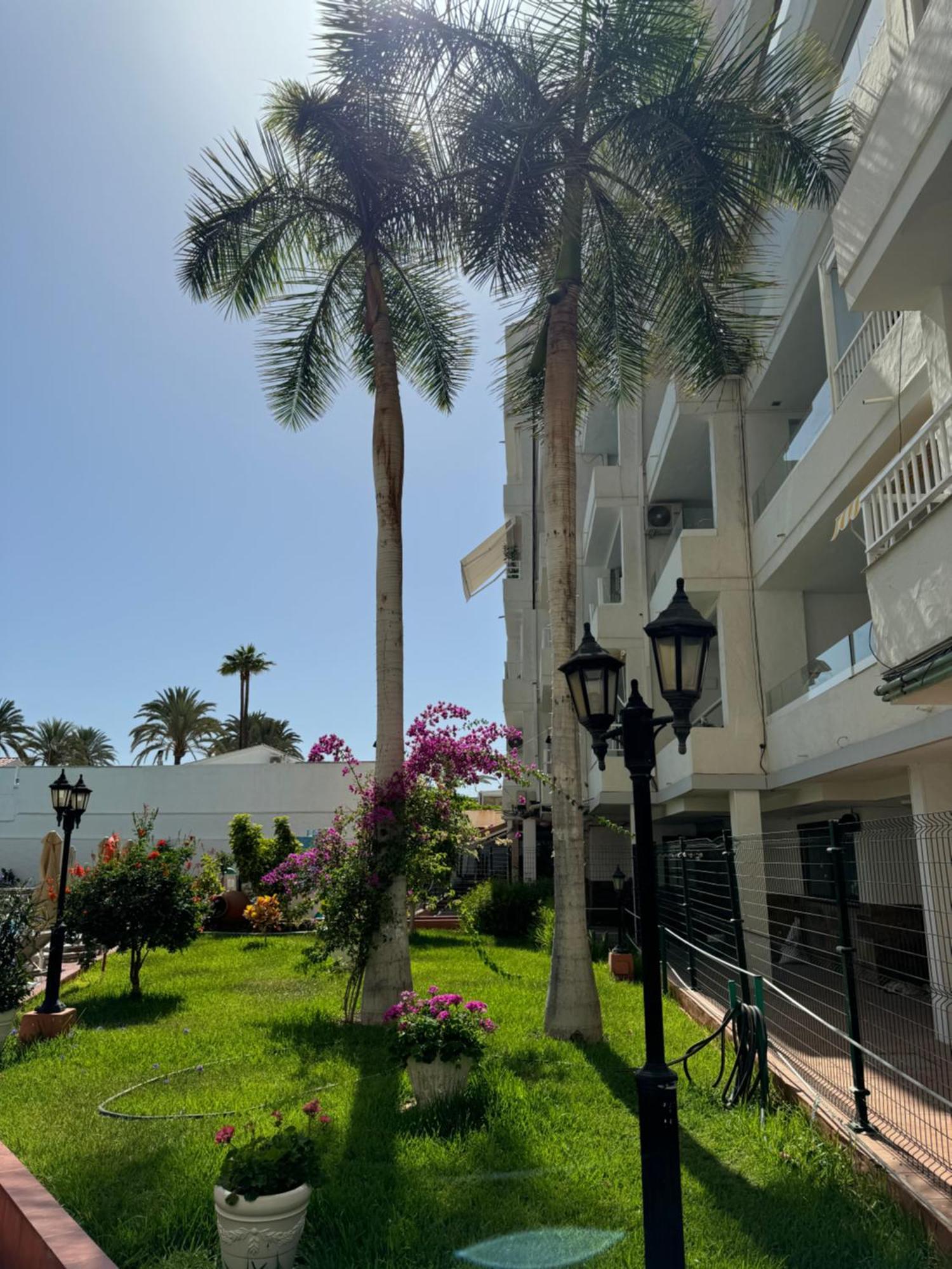 Apartamento Reformado En Apartamentos Tanife, Playa Del Ingles San Bartolomé Екстериор снимка